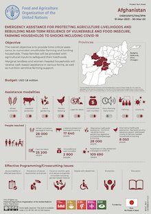 Afghanistan | Emergency assistance for protecting agriculture-livelihoods and rebuilding near-term resilience